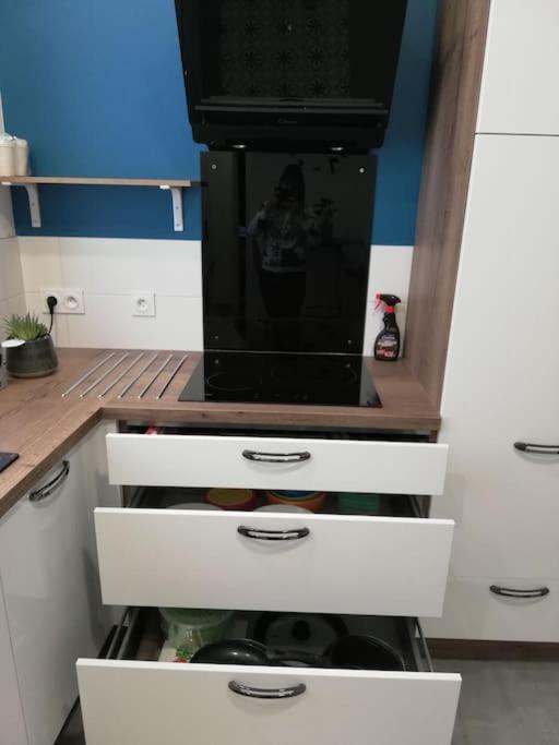 Bel Appartement Coeur De Grenoble Tout Equipe Exteriör bild