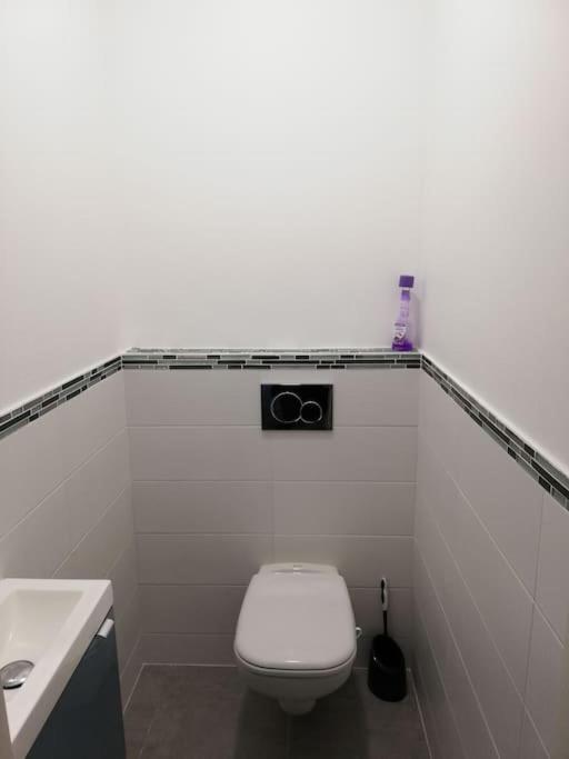 Bel Appartement Coeur De Grenoble Tout Equipe Exteriör bild